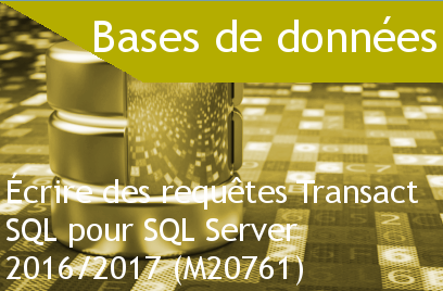 Course Image Écrire des requêtes Transact SQL pour SQL Server 2016/2017 (M20761)