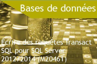 Course Image Écrire des requêtes Transact SQL pour SQL Server 2012/2014 (M20461)